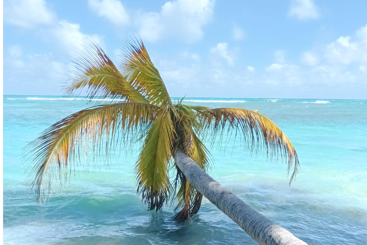 Dominican Republic beach Caribbean