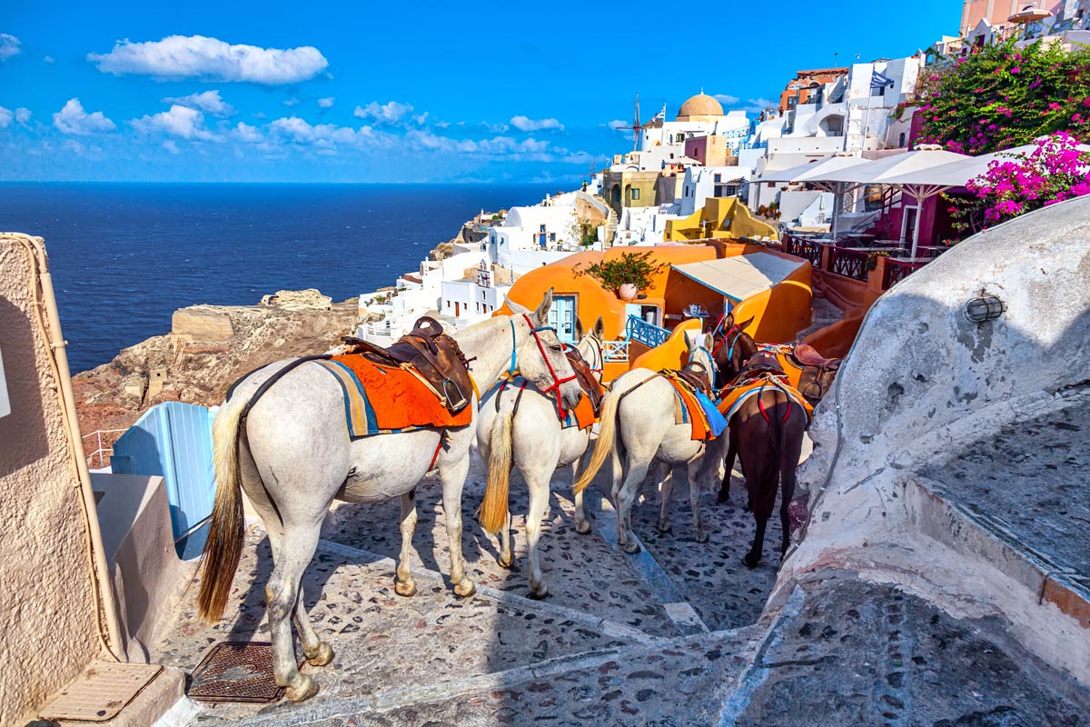 East Mediterranean
