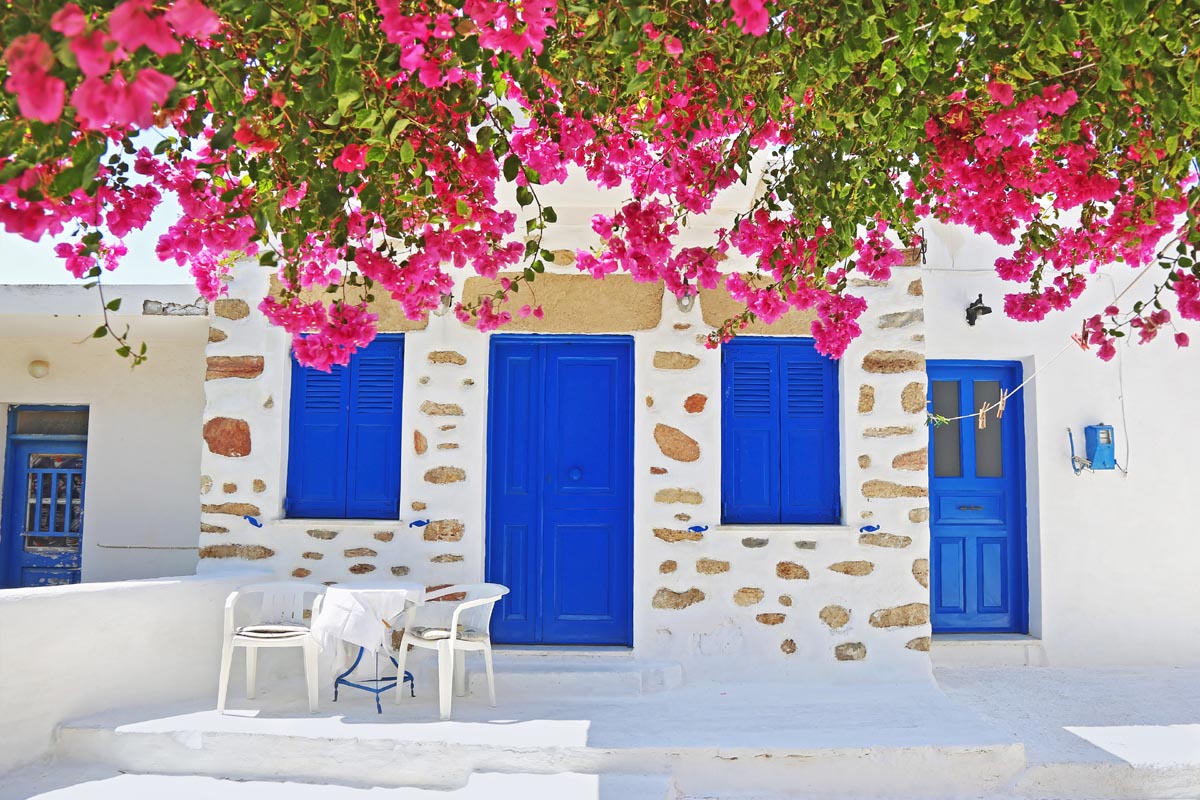 traditional yard with bougainvilleas at Ano Koufonisi island Cyclades Greece Aegean Sea