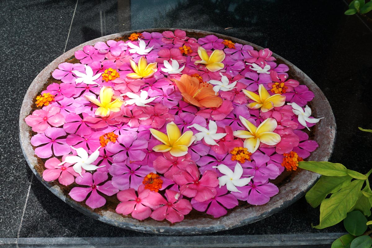 SEYCHELLES Mahe Island , pink yellow white flowers